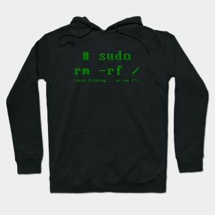 Sudo rm -rf / - The Ultimate Hacker Command Hoodie